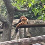 ヒメ日記 2025/10/21 16:21 投稿 咲心(えみ) グランドオペラ横浜