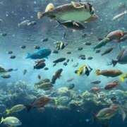 ヒメ日記 2025/11/11 13:21 投稿 咲心(えみ) グランドオペラ横浜