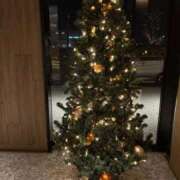 ヒメ日記 2025/12/08 22:23 投稿 咲心(えみ) グランドオペラ横浜