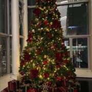 ヒメ日記 2025/12/26 02:11 投稿 咲心(えみ) グランドオペラ横浜