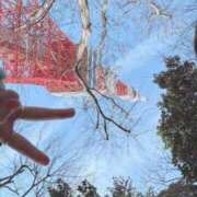 ヒメ日記 2026/01/31 16:04 投稿 咲心(えみ) グランドオペラ横浜