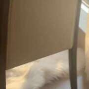 ヒメ日記 2026/04/08 12:49 投稿 咲心(えみ) グランドオペラ横浜