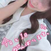 ヒメ日記 2026/04/17 14:25 投稿 咲心(えみ) グランドオペラ横浜