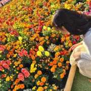 ヒメ日記 2026/04/27 16:01 投稿 咲心(えみ) グランドオペラ横浜