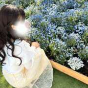 ヒメ日記 2026/05/01 12:31 投稿 咲心(えみ) グランドオペラ横浜
