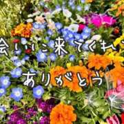 ヒメ日記 2026/05/02 16:21 投稿 咲心(えみ) グランドオペラ横浜