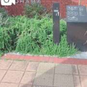 ヒメ日記 2026/05/05 13:01 投稿 咲心(えみ) グランドオペラ横浜