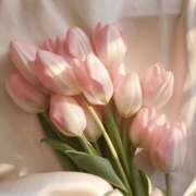 ヒメ日記 2025/10/04 18:30 投稿 中野みさき 五反田マーマレード(ユメオト)