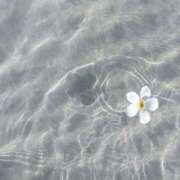 ヒメ日記 2025/10/15 18:30 投稿 中野みさき 五反田マーマレード(ユメオト)