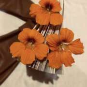 ヒメ日記 2025/11/08 10:30 投稿 中野みさき 五反田マーマレード(ユメオト)