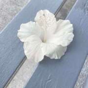 ヒメ日記 2025/11/08 17:17 投稿 中野みさき 五反田マーマレード(ユメオト)