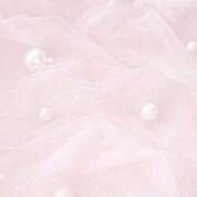 ヒメ日記 2025/11/21 18:40 投稿 中野みさき 五反田マーマレード(ユメオト)