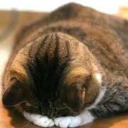 ヒメ日記 2025/10/23 11:14 投稿 せんり 池袋おかあさん