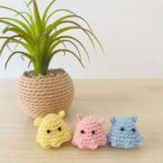 ヒメ日記 2025/05/19 16:22 投稿 あんな 人妻小旅行