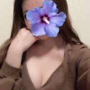 ヒメ日記 2025/05/24 09:32 投稿 あんな 人妻小旅行