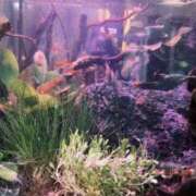 ヒメ日記 2025/05/19 14:36 投稿 そら タレント倶楽部Around40