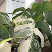 ヒメ日記 2025/10/11 23:24 投稿 そら タレント倶楽部Around40