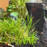 ヒメ日記 2025/10/20 11:22 投稿 そら タレント倶楽部Around40