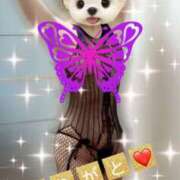 ヒメ日記 2025/10/25 13:48 投稿 そら タレント倶楽部Around40