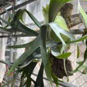 ヒメ日記 2025/11/07 22:58 投稿 そら タレント倶楽部Around40