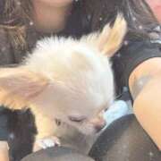 ヒメ日記 2025/08/03 22:06 投稿 さえか ハピネス東京 吉原店