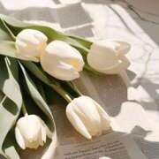 ヒメ日記 2025/05/17 14:22 投稿 美園えみり グランエステ東京 品川（シンデレラグループ）