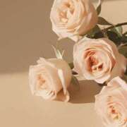 ヒメ日記 2025/06/20 12:42 投稿 美園えみり グランエステ東京 品川（シンデレラグループ）