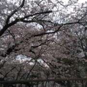 松山寿江 春分の日 五十路マダム 沼津店(カサブランカグループ)