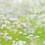 ヒメ日記 2025/05/24 13:56 投稿 あんな 甲府人妻城