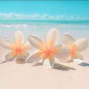 ヒメ日記 2025/05/31 10:02 投稿 あんな 甲府人妻城