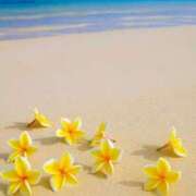 ヒメ日記 2025/07/13 11:18 投稿 あんな 甲府人妻城