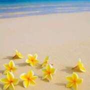 ヒメ日記 2025/07/13 11:47 投稿 あんな 甲府人妻城