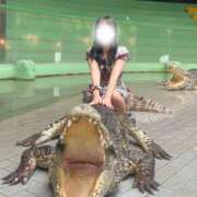 ヒメ日記 2025/06/04 16:00 投稿 桃瀬さくら 水戸ソープ アイドル彼女