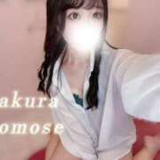 ヒメ日記 2025/09/11 08:01 投稿 桃瀬さくら 水戸ソープ アイドル彼女