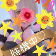 ヒメ日記 2025/05/12 17:28 投稿 真白 熟女の風俗最終章 新横浜店