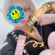 ヒメ日記 2025/05/14 17:28 投稿 真白 熟女の風俗最終章 新横浜店