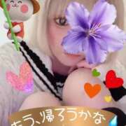 ヒメ日記 2025/06/02 20:08 投稿 真白 熟女の風俗最終章 新横浜店