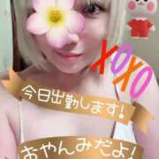 ヒメ日記 2025/06/08 00:26 投稿 真白 熟女の風俗最終章 新横浜店