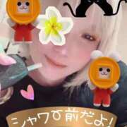 ヒメ日記 2025/06/09 23:36 投稿 真白 熟女の風俗最終章 新横浜店