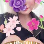 ヒメ日記 2025/07/14 17:02 投稿 真白 熟女の風俗最終章 新横浜店