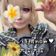 ヒメ日記 2026/06/04 14:26 投稿 真白 熟女の風俗最終章 新横浜店