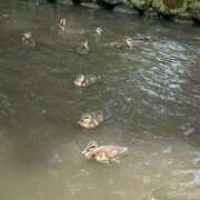 ゆみ ありがとうございました♡^ - ^ 22日午前中お礼 奥鉄オクテツ神奈川店（デリヘル市場グループ）