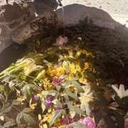 ゆみ 先週のお礼〜♡遅くなりました！ 奥鉄オクテツ神奈川店（デリヘル市場グループ）