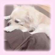 ヒメ日記 2025/07/07 21:51 投稿 なぎ でりどす