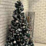 ヒメ日記 2025/12/01 19:45 投稿 アンジュ AMOUR（アムール）