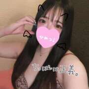 ヒメ日記 2025/05/25 15:25 投稿 ヒナタ ファーストレディー