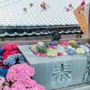 ヒメ日記 2025/06/28 12:28 投稿 成田みさお 五十路マダム 愛されたい熟女たち 高松店