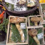 ヒメ日記 2025/10/19 08:08 投稿 成田みさお 五十路マダム 愛されたい熟女たち 高松店