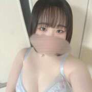 ヒメ日記 2025/06/08 23:25 投稿 ハルジオン 飾窓