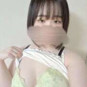 ヒメ日記 2025/06/21 09:56 投稿 ハルジオン 飾窓